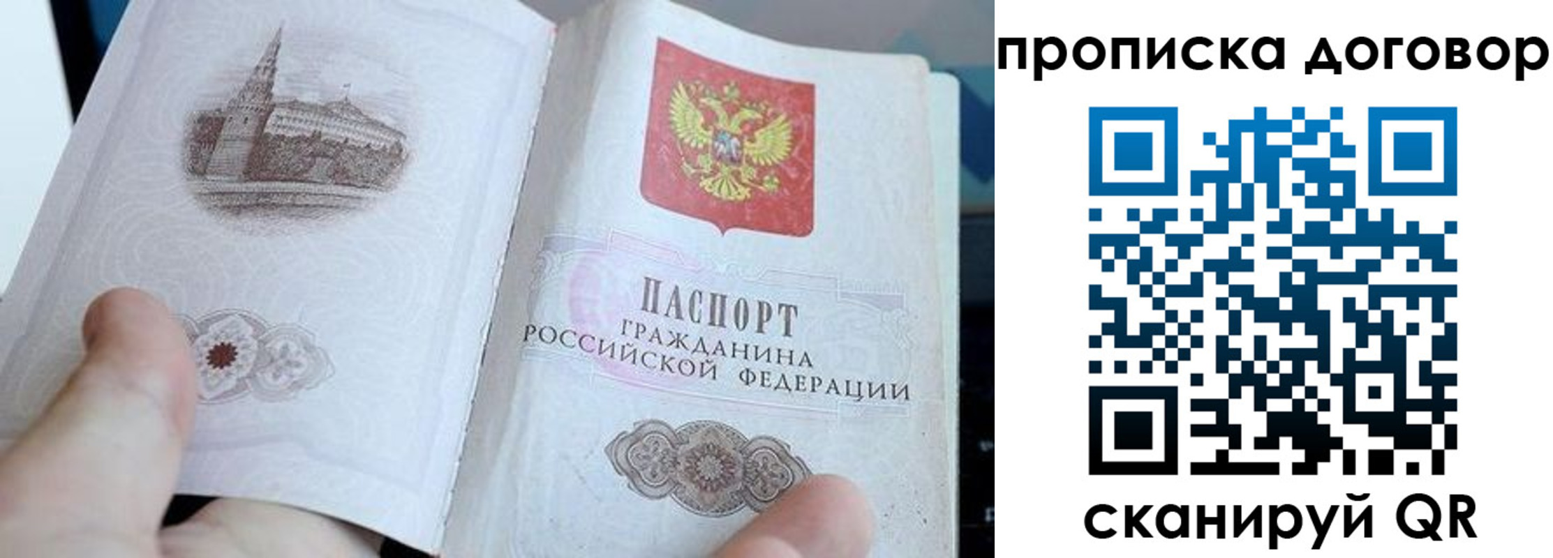 прописка в Шумихе